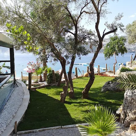 Amare Villa